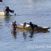 farming_seaweed_nlem_h_0409_bal3675.jpg